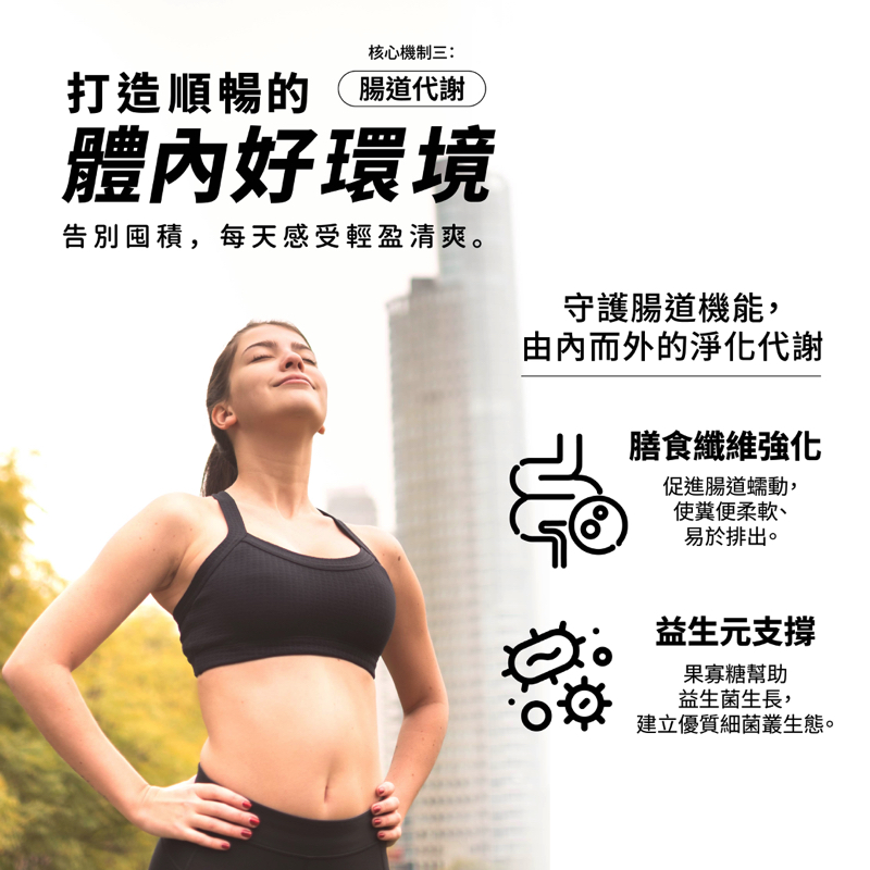 居樂 P-1:圖片 5