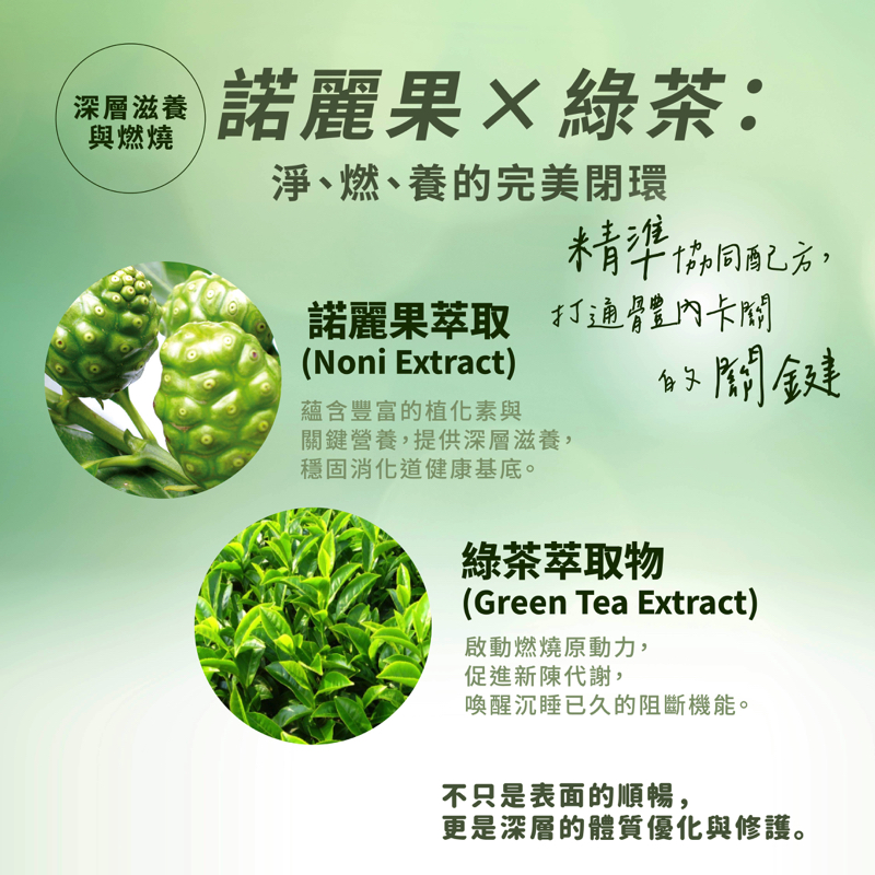 纖酵精靈EX30入/盒:圖片 4